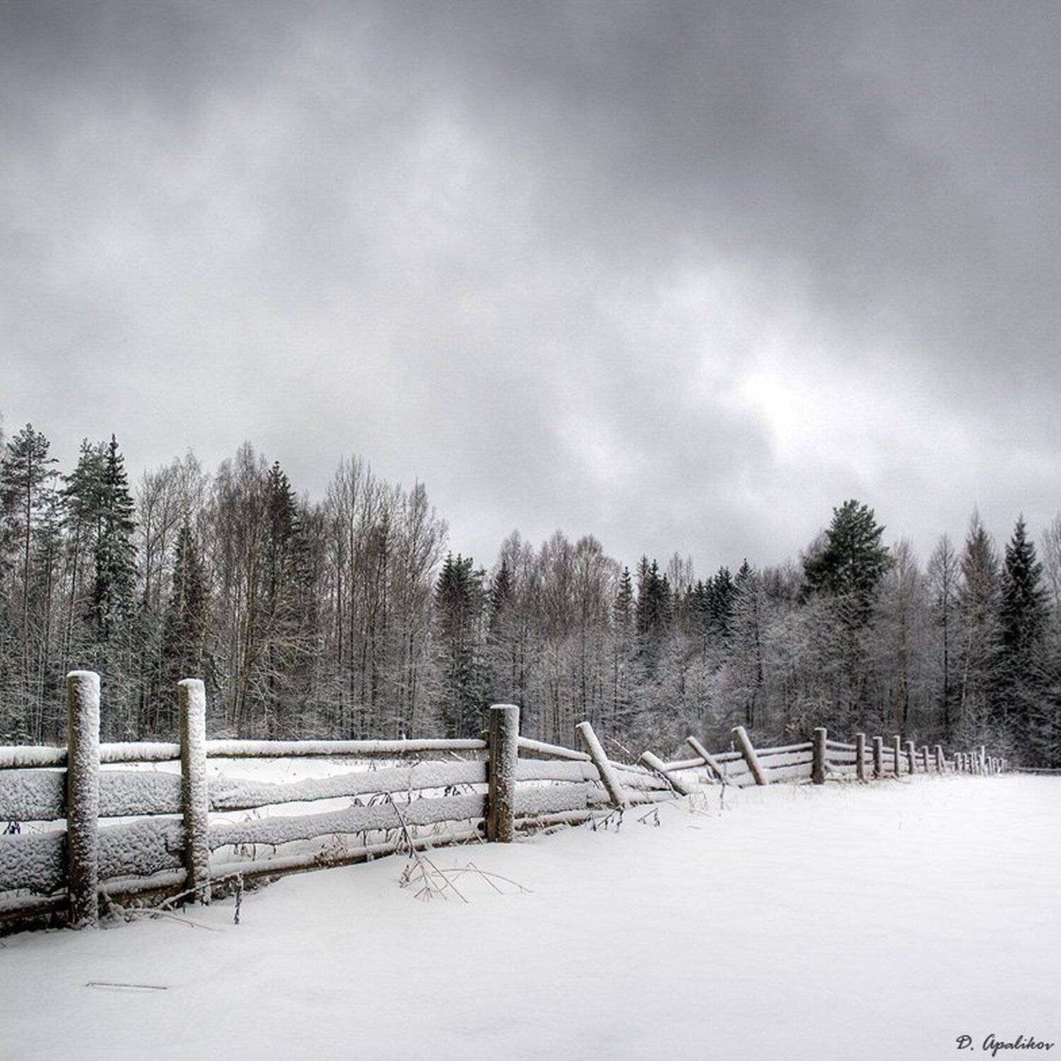снег, изгородь, лес, тучи, Dmitry Apalikov