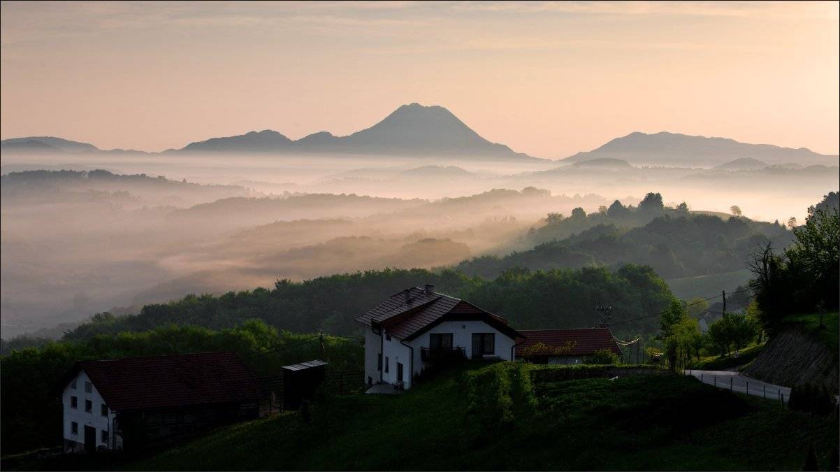 словения, Нетушки