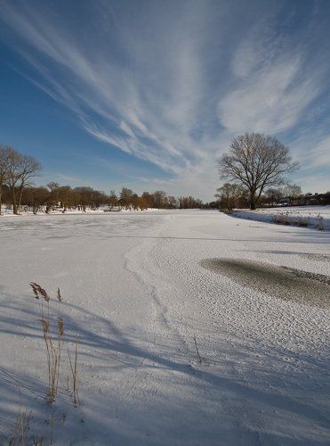 вид на парк