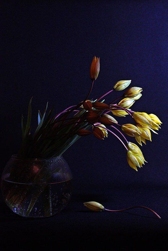 * фото превью