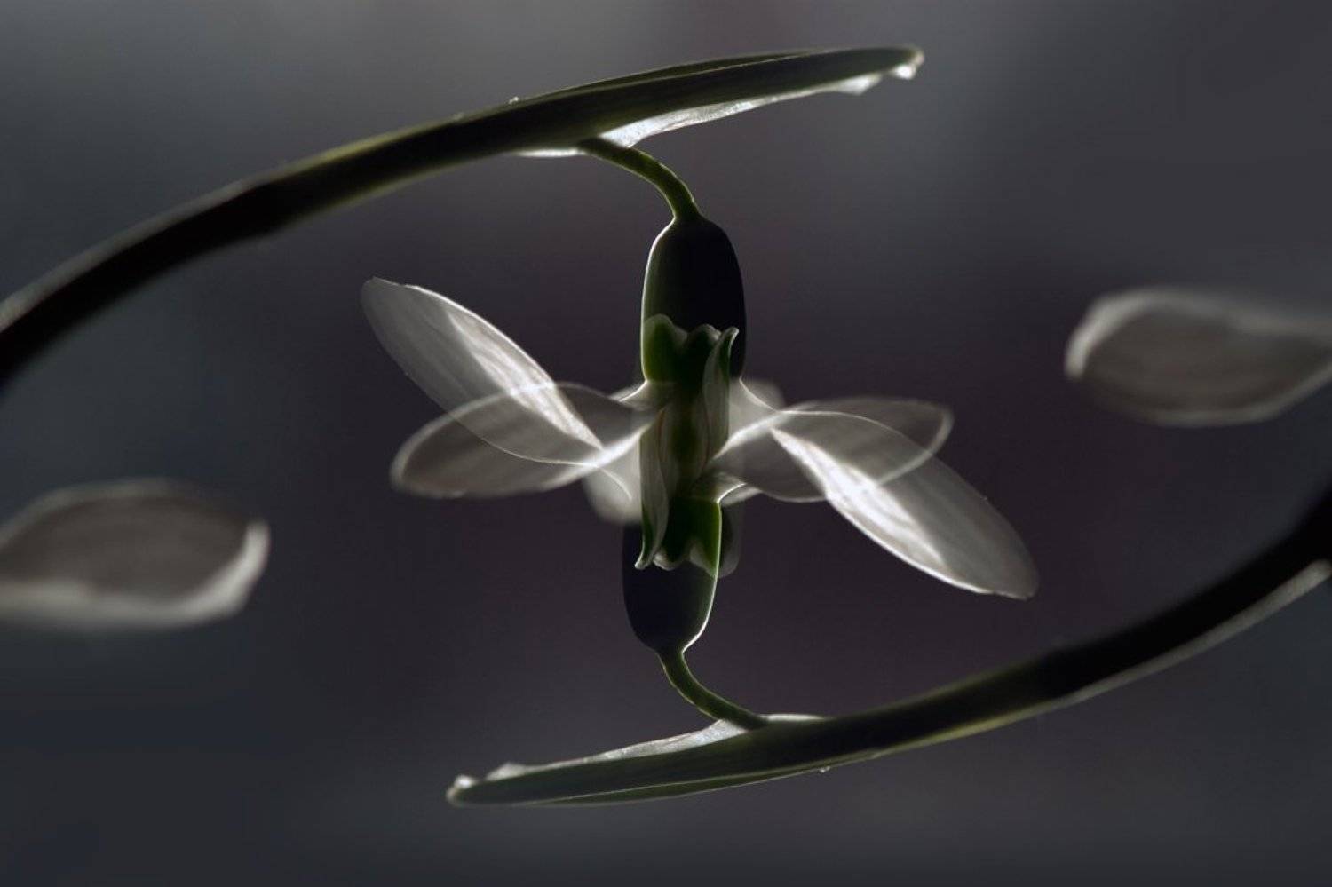 мультиэкспозиция, Татьяна Аверина