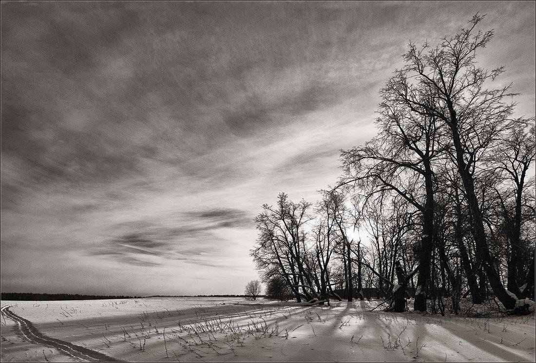 , Андрей Финогенов