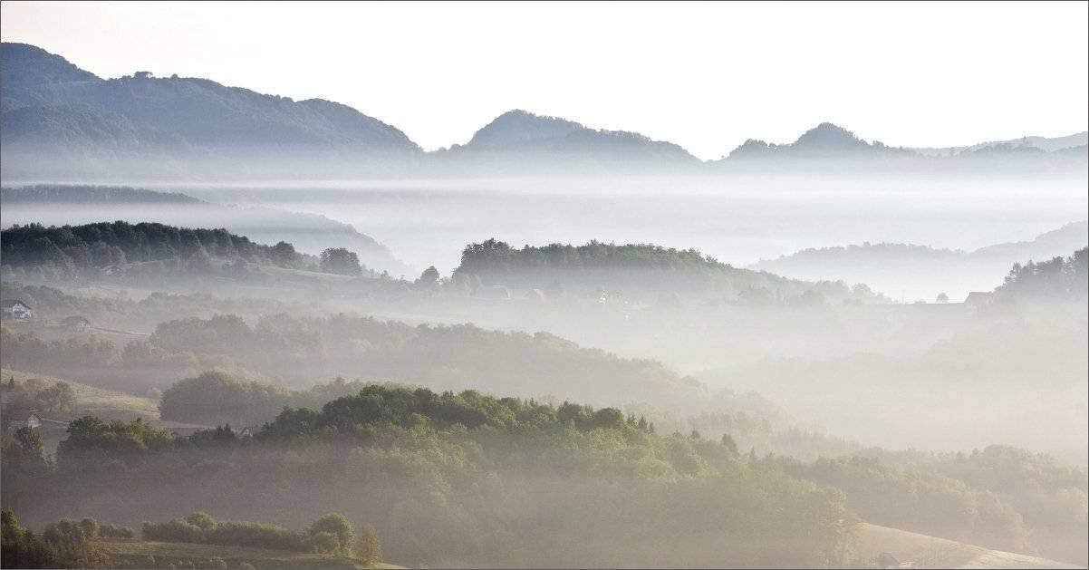 туман, Нетушки