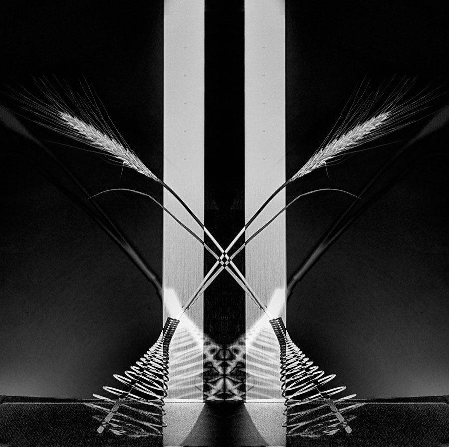 колосок, пружынка,, mariana