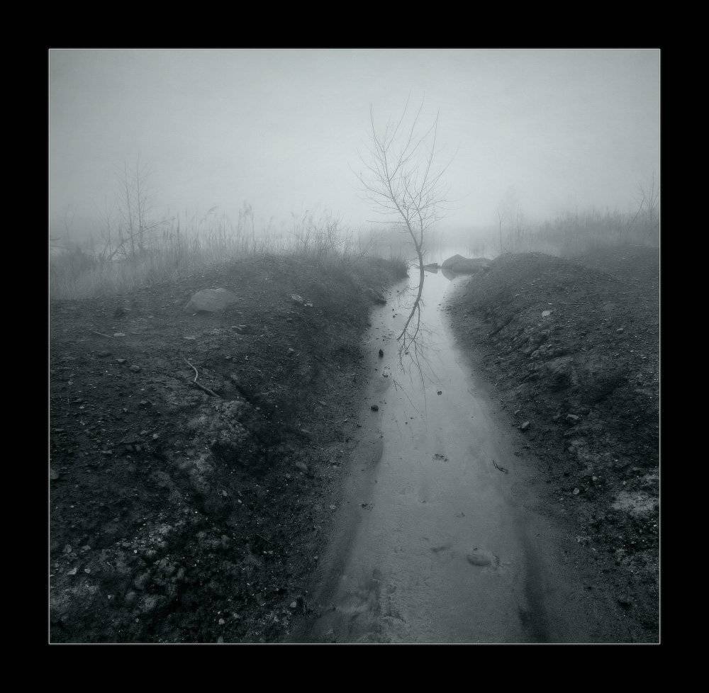 вечер,	 осень, туман, Петриченко Валерий