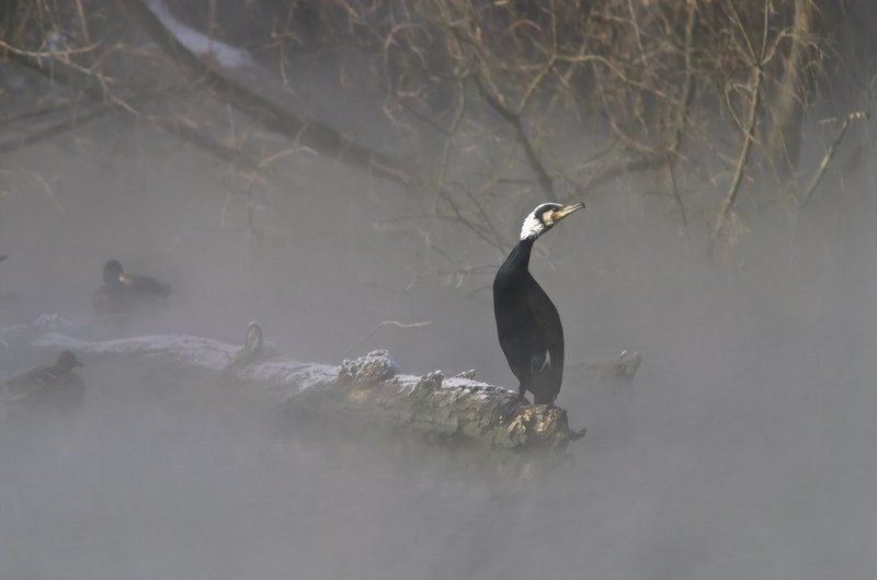 Я тут живу..... пока фото превью
