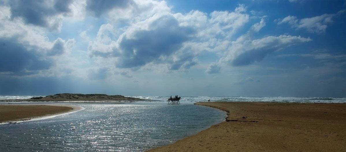 , Александр Беляев