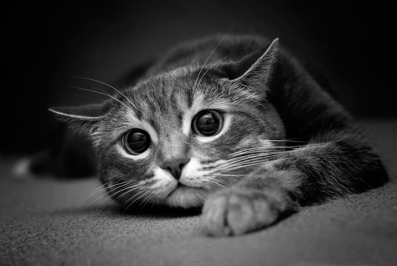 о взгляде фото превью