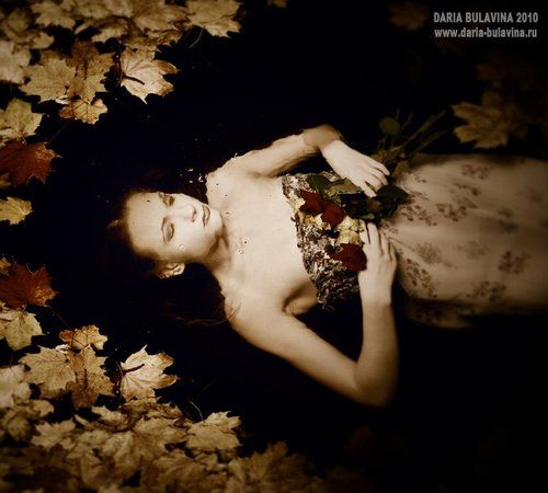 Where the wild roses grow...