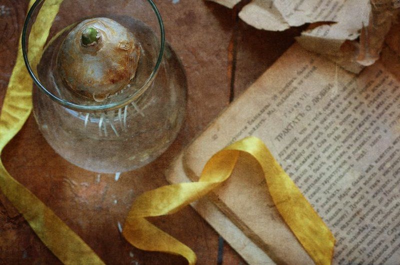 **** фото превью