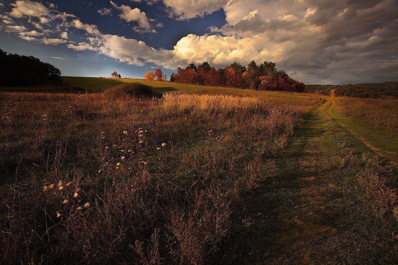 , Петр Антонович