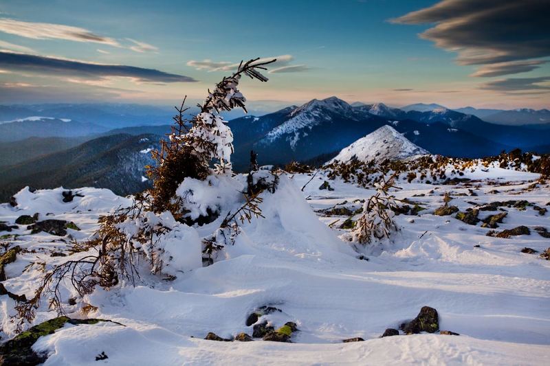торбя`к горганы фото превью