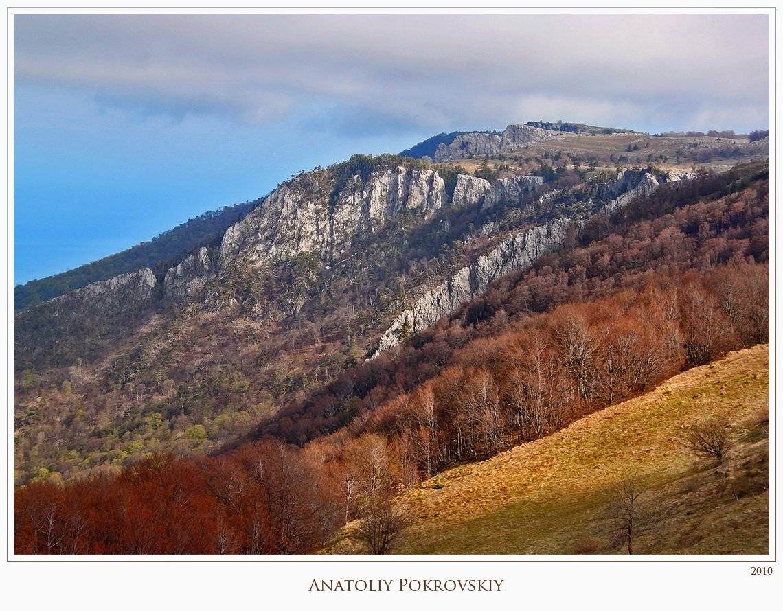 демерджи-яйла, хапхал, тырке, тирке, крым, весна, анатолий покровский, Анатолий Покровский