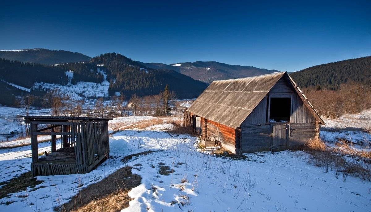 , Станислав Савицкий