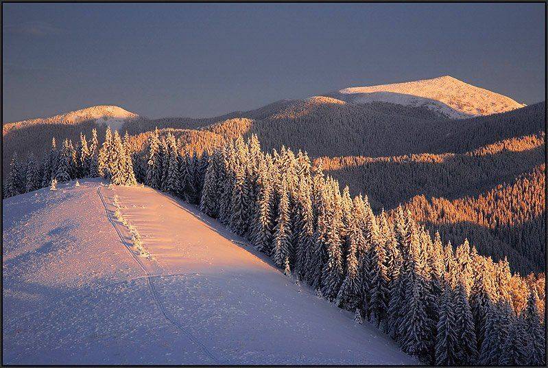 карпаты, Тарас