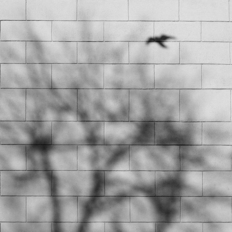 петарды фото превью