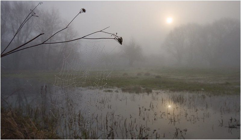 утро весны... фото превью