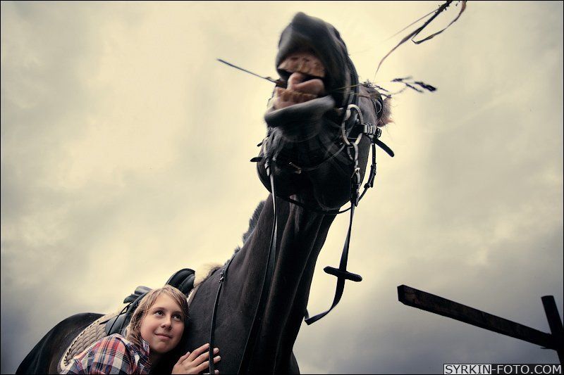 конь Дружба начинается с  улыбки! фото превью