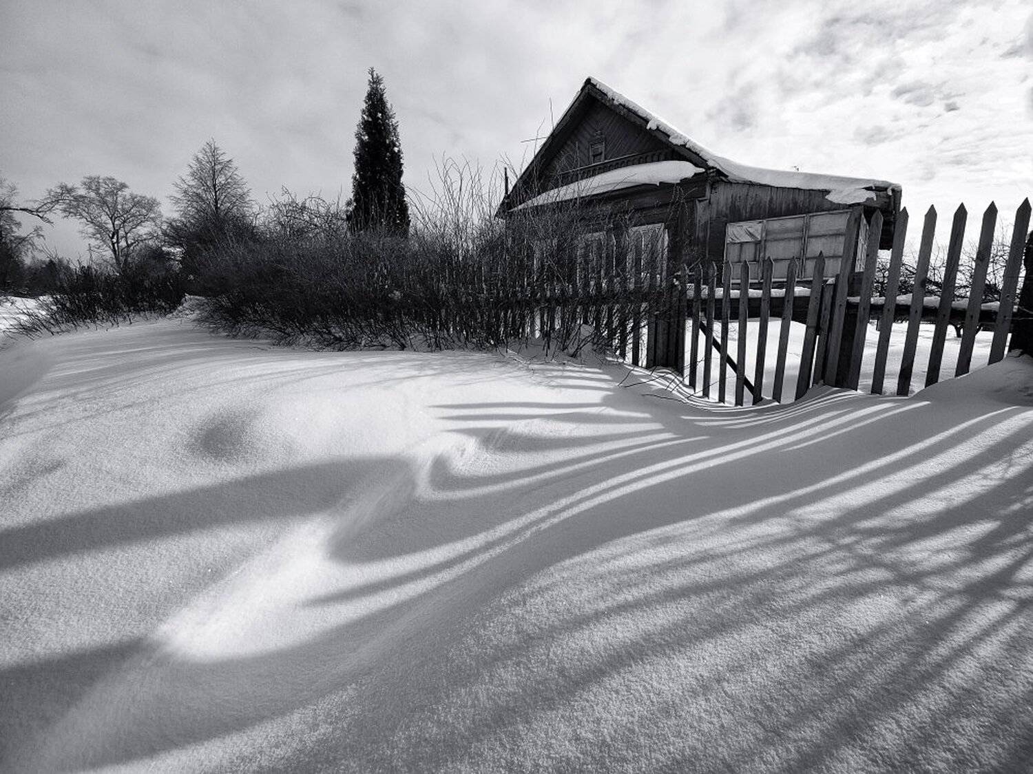 , Максим Евдокимов