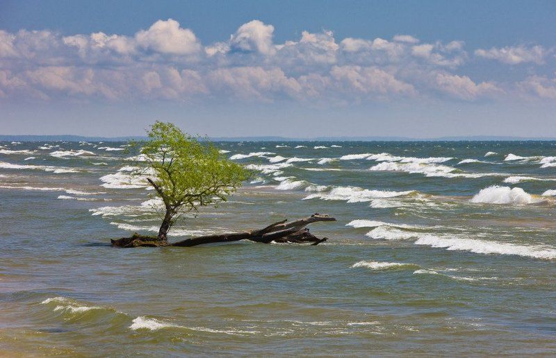 Жизнь фото превью