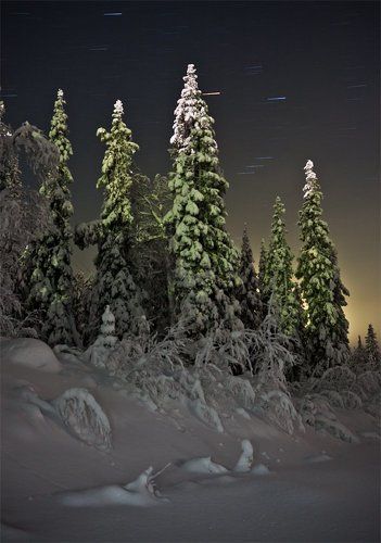 Под покровом полярной ночи