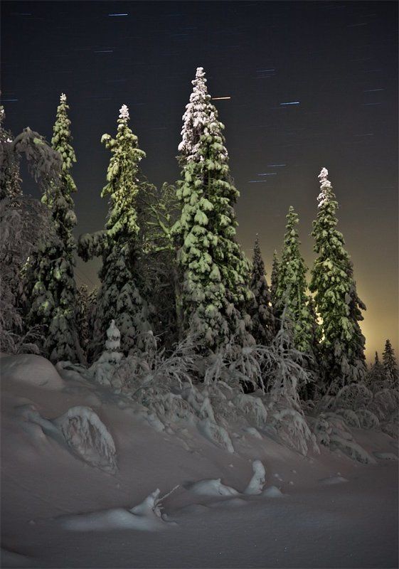 кольский, полуостров, зима, ночь Под покровом полярной ночи фото превью