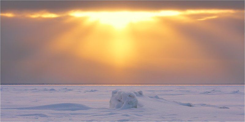 Явление фото превью
