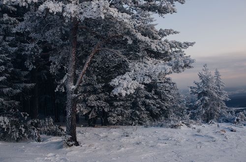 Ну и красотища же бывает в лесу зимой