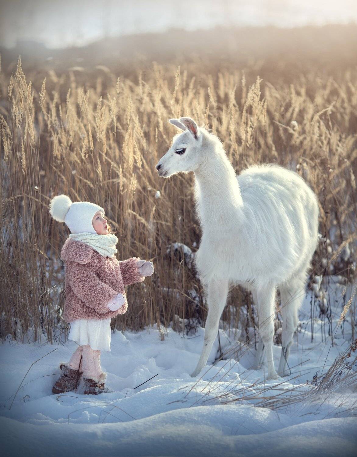 , Диана Аникеева