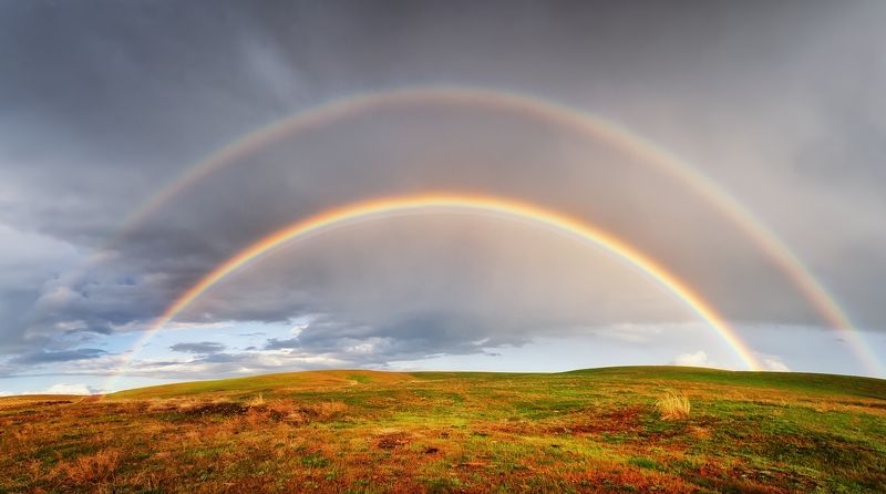 киргизия в полях Киргизии после дождя фото превью