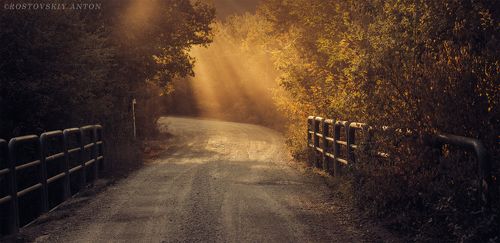 Дороги Тосканы