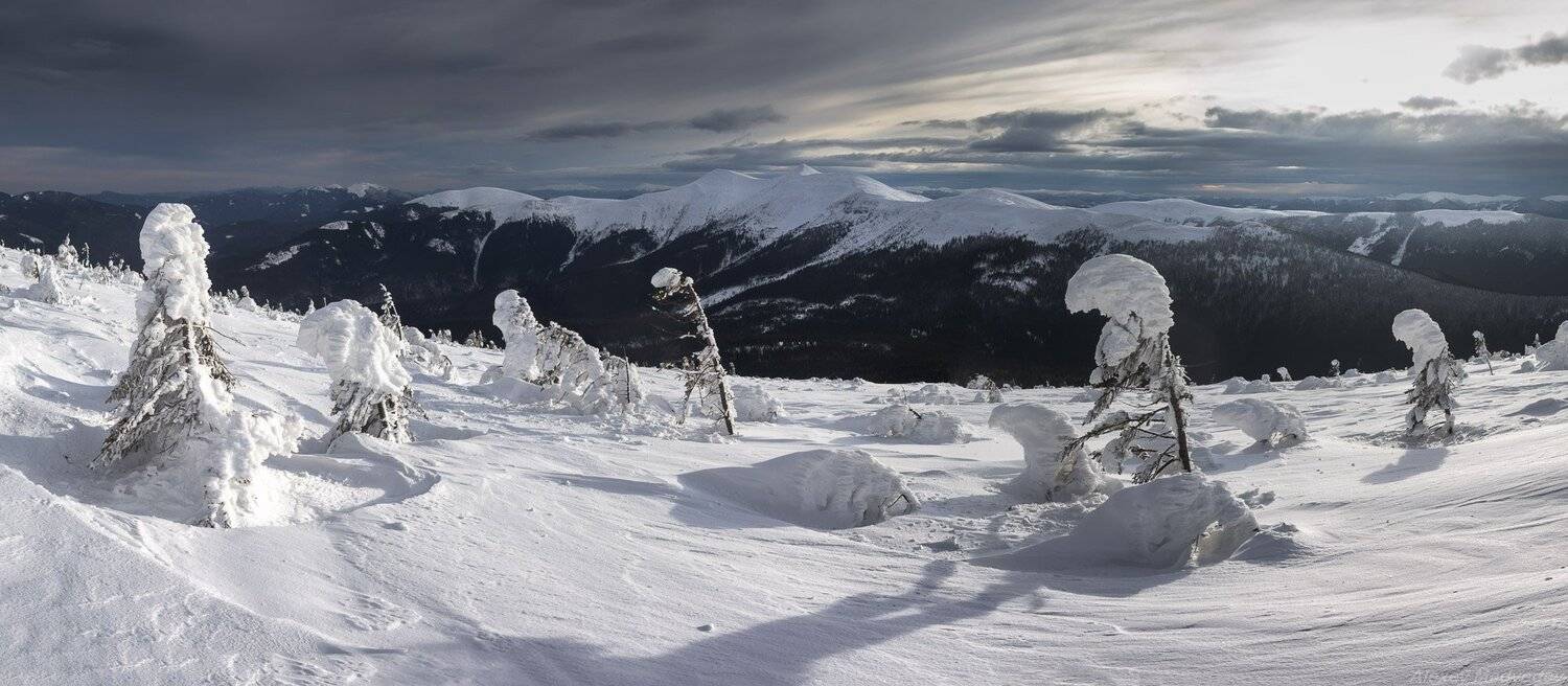 ukraine, man, hiker, carpathians, tourist, alone, mountains, people, один, одиночество, горы, зима, холод, карпаты, сывули, горганы, Алексей Медведев