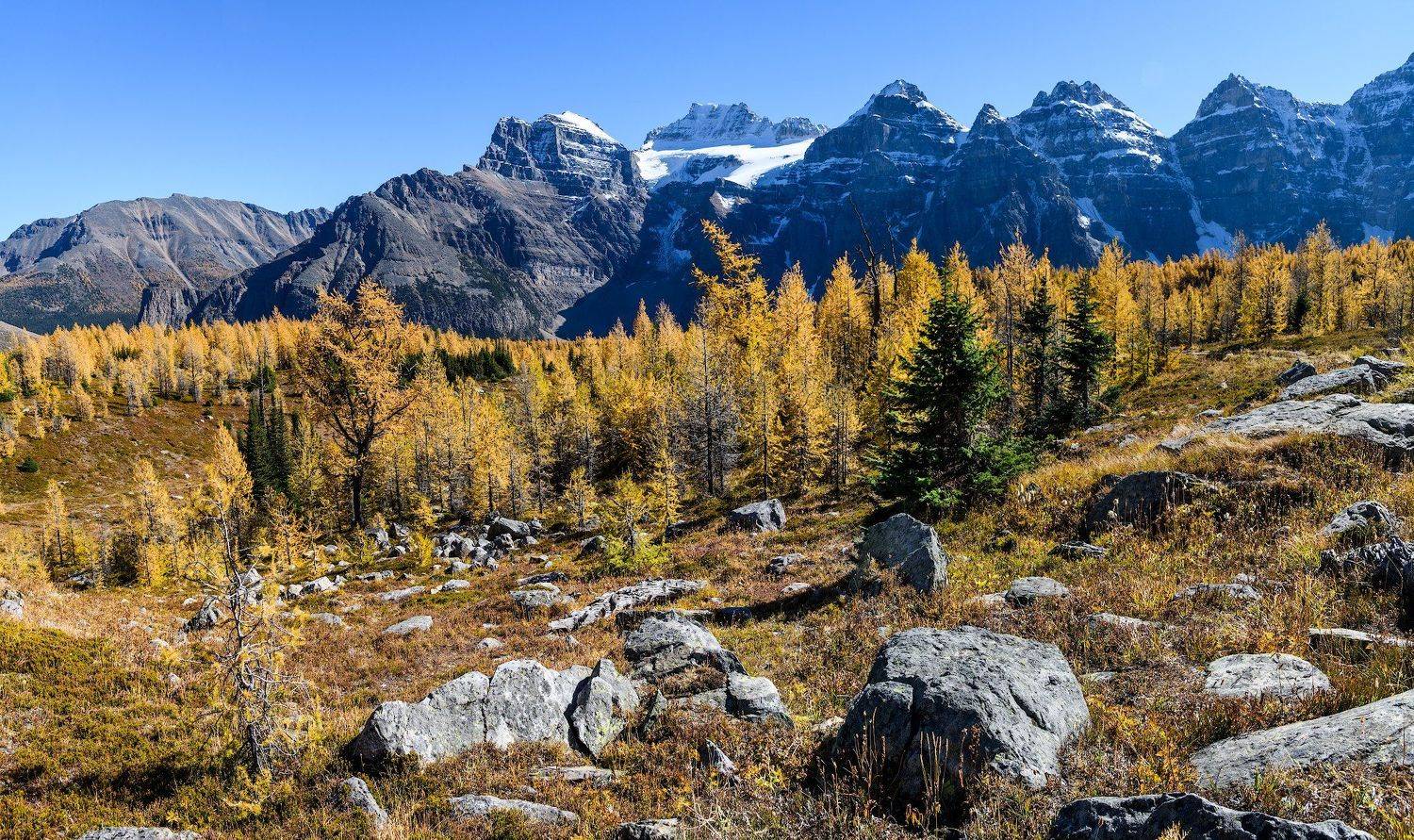 Канада, Скалистые горы, Банф, осень, Сергей Пестерев