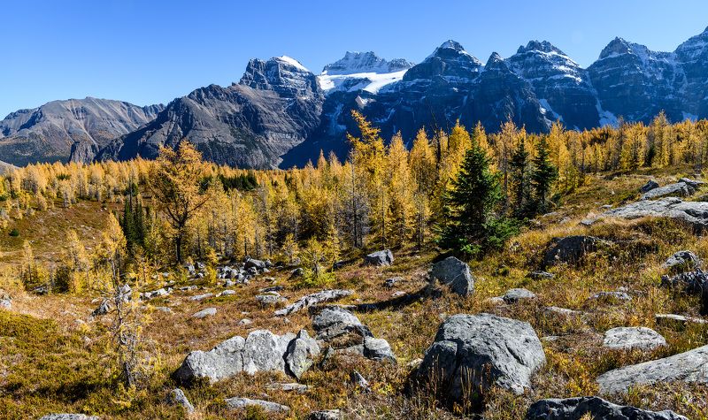 Канада, Скалистые горы, Банф, осень Осень в горах фото превью