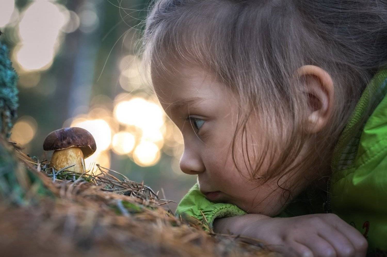 , Вячеслав Мищенко