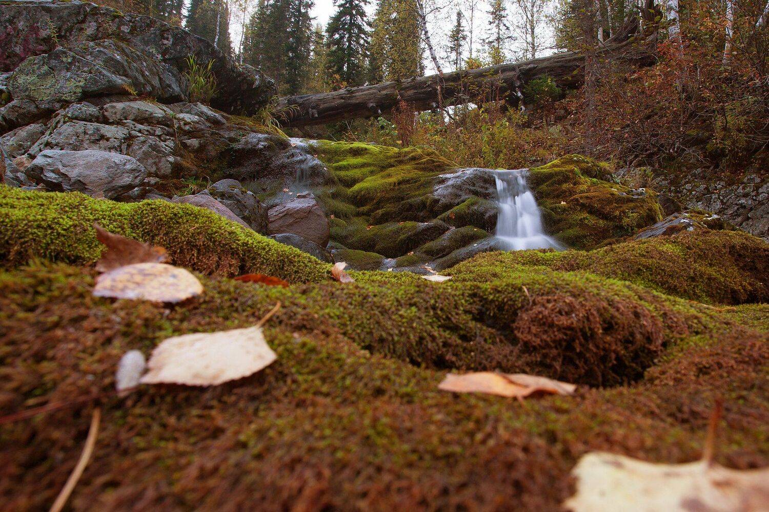 Осень Хакасия Природа Пейзаж , Бахтин Вячеслав