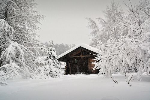 Графика февраля
