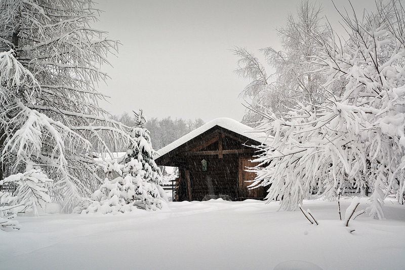 сергей алексеев, пейзаж Графика февраля фото превью
