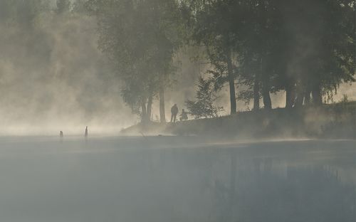 Курятся туманы