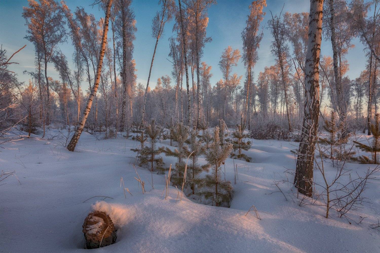 , Евгений Кужилев