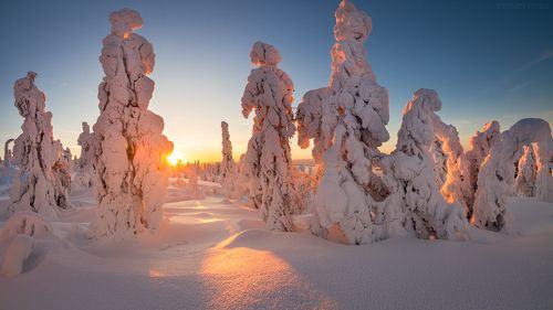 Февральский вечер