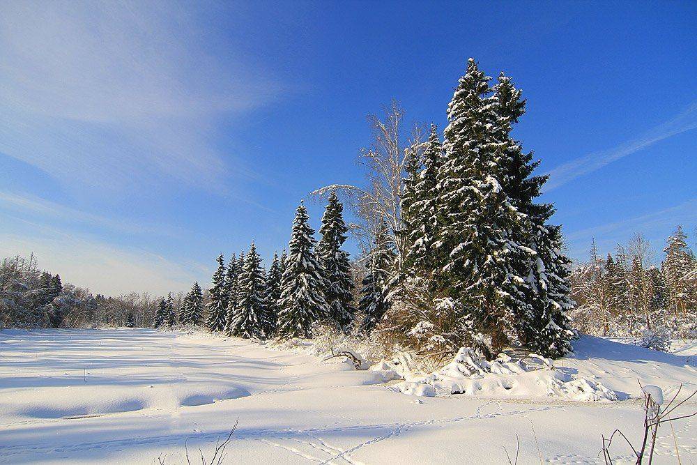 , Михаил Крюков