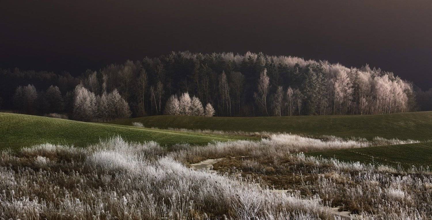 night, meadow, hoarfrost, landscape, winter, poland, Rafal