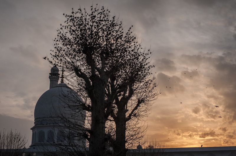 Осень фото превью