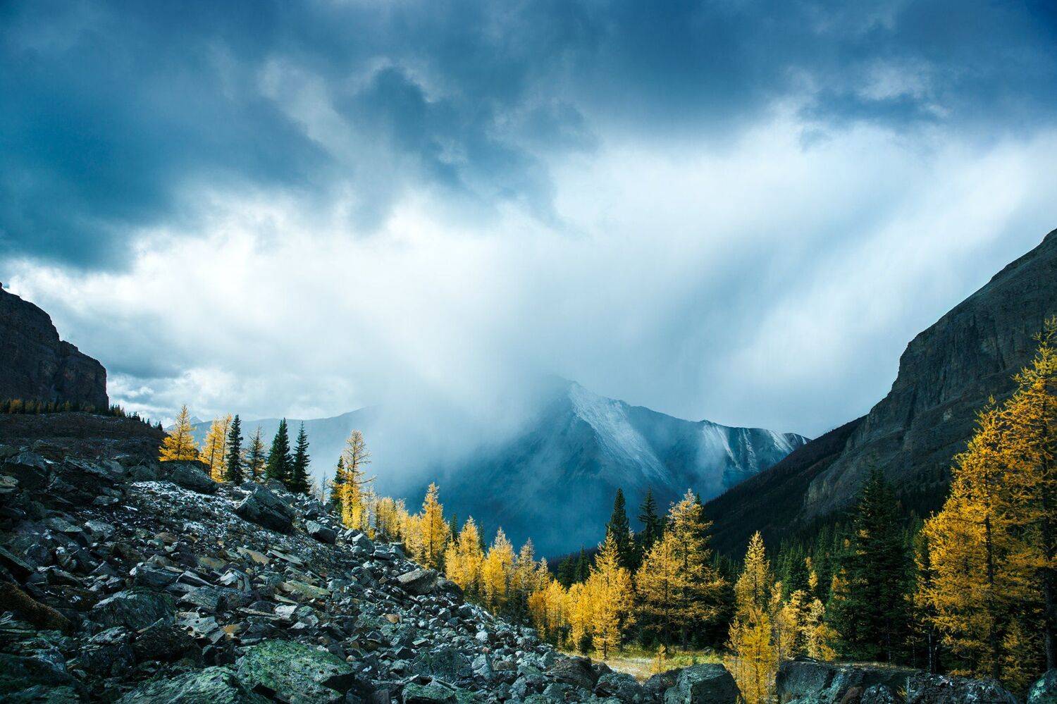 канада, британская колумбия, национальный парк йохо, гора оуэн, лиственница, желтый, пейзажи, горы, буря, осень, осень, буря, лес, canada, british columbia, yoho national park, mount owen, larch, yellow, landscapes, mountains, storm, autumn, fall, storm, , Марко Радовановић