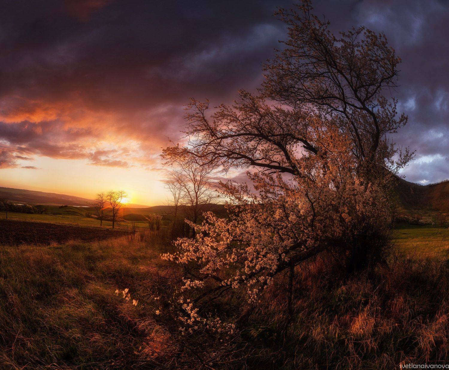 , Светлана Иванова