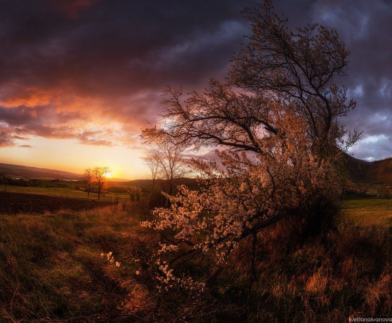 *** фото превью