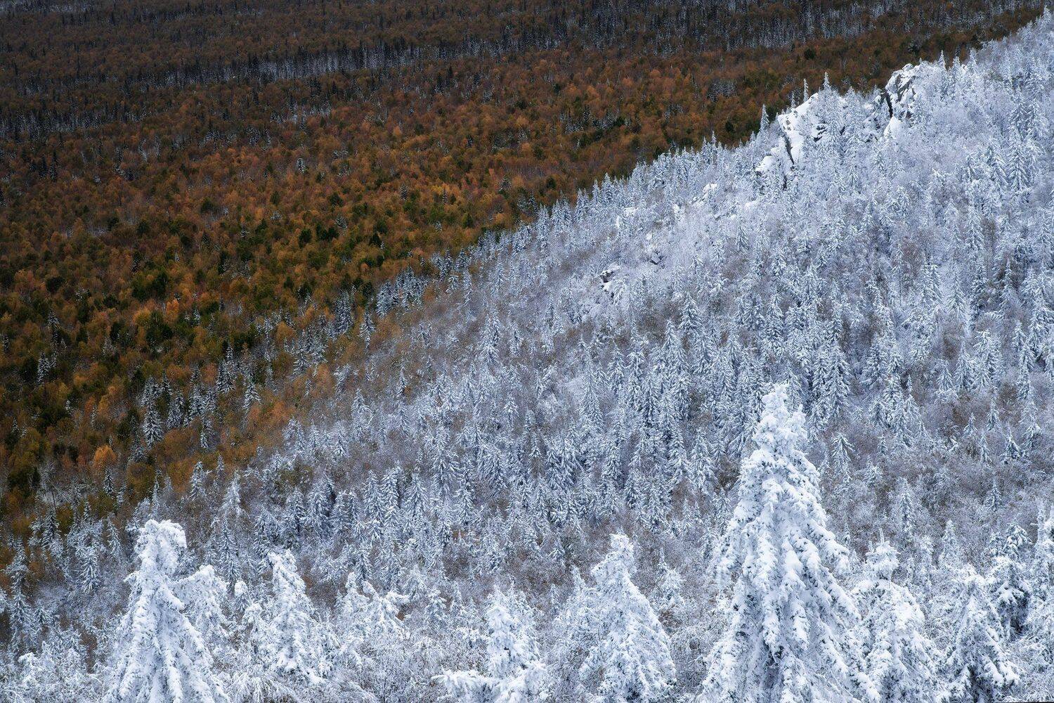 , Михаил Туркеев