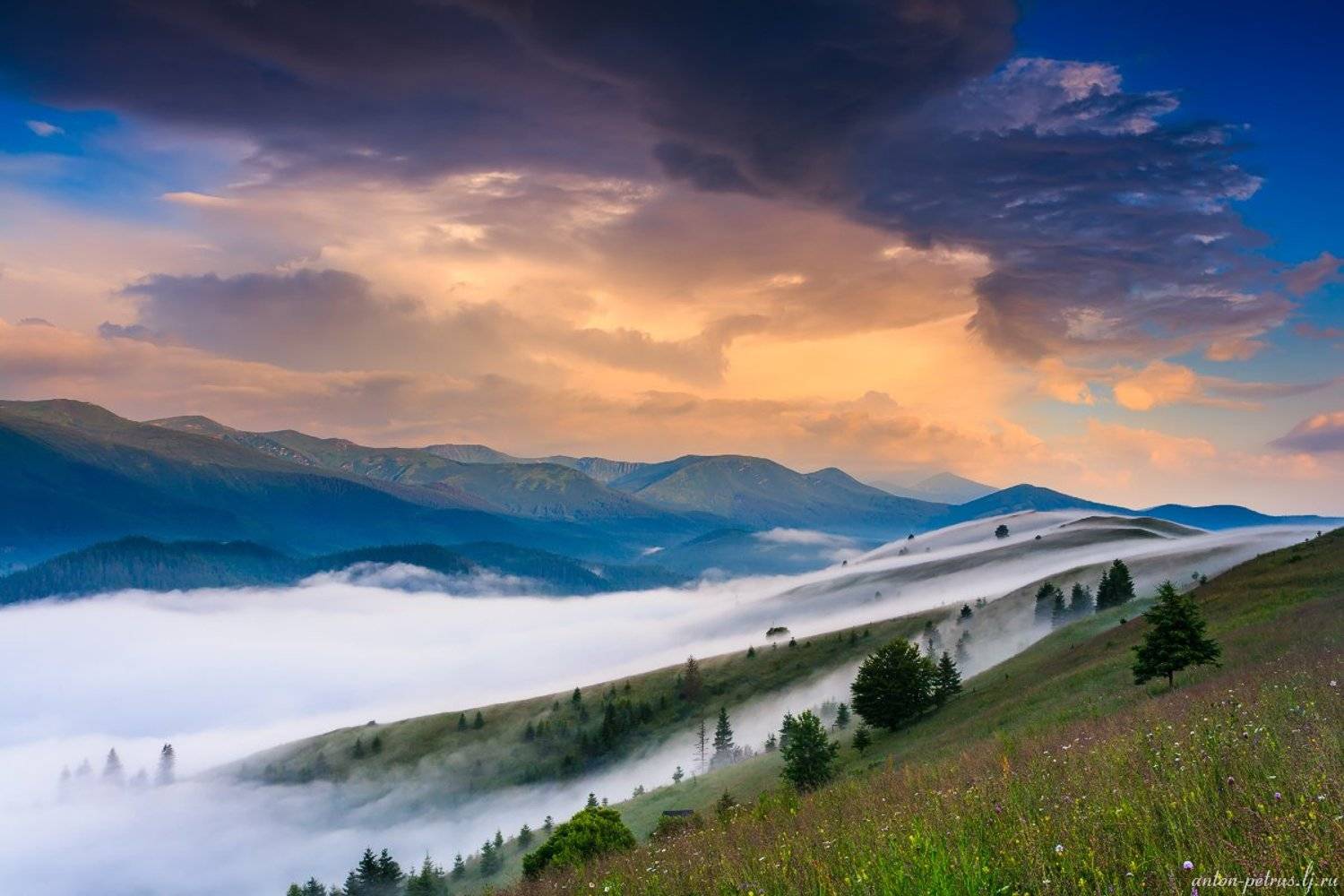 рассвет, туман, карпаты, горы, лето, Антон Петрусь