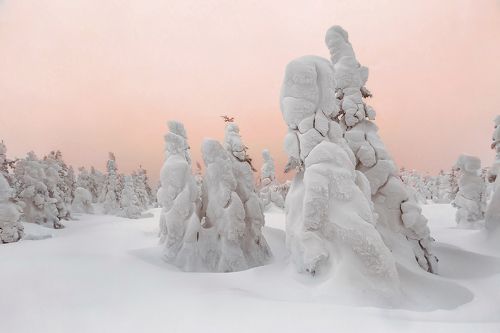 Театр снежных фигур